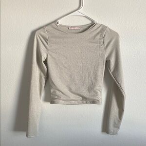 Shimmery Long Sleeve Top